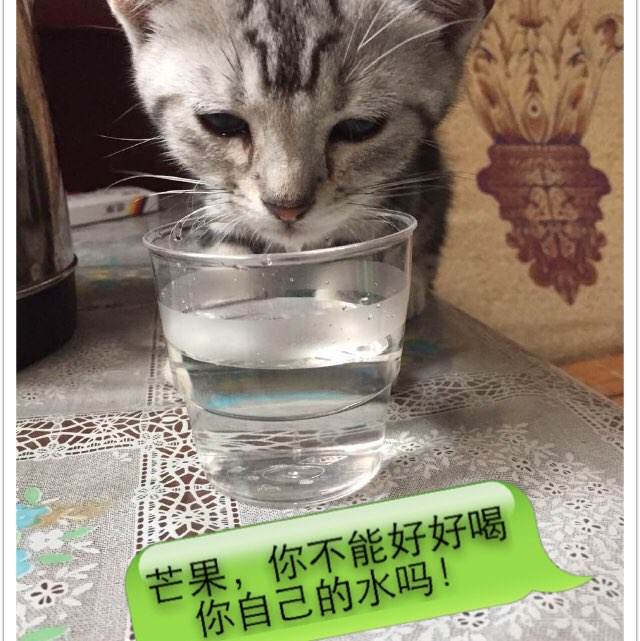 不动产证的证书号码在哪里